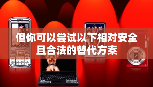 但你可以尝试以下相对安全且合法的替代方案