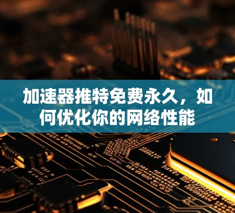 加速器推特免费永久，如何优化你的网络性能