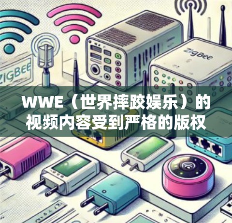 WWE（世界摔跤娱乐）的视频内容受到严格的版权保护，因此合法地加速这些视频可能有限。以下是一些建议，帮助您更好地观看WWE内容，同时遵守版权法规