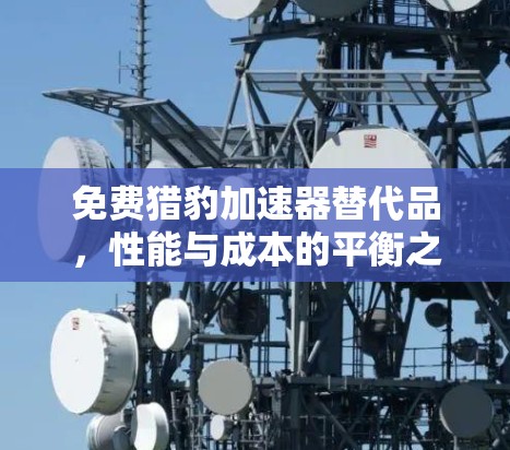 免费猎豹加速器替代品,性能与成本的平衡之道