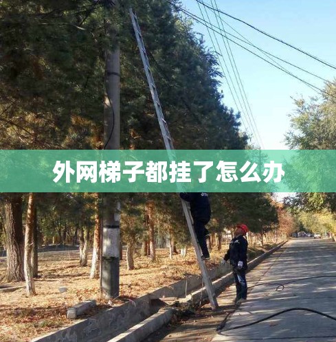 外网梯子都挂了怎么办