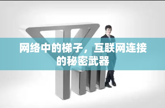 网络中的梯子,互联网连接的秘密武器