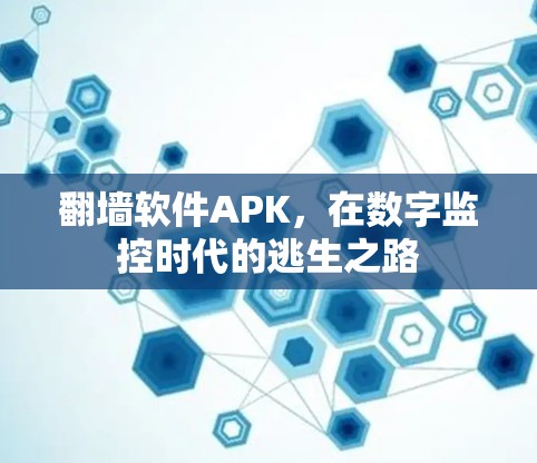 翻墙软件APK,在数字监控时代的逃生之路