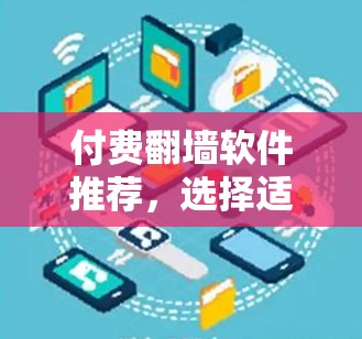 付费翻墙软件推荐,选择适合您的最佳方案