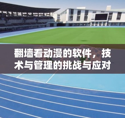 翻墙看动漫的软件,技术与管理的挑战与应对策略 翻墙看动漫的软件,技术与管理的挑战与应对策略