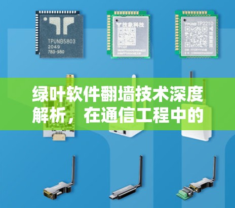 绿叶软件翻墙技术深度解析,在通信工程中的应用与挑战