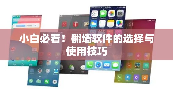 小白必看!翻墙软件的选择与使用技巧 小白必看!翻墙软件的选择与使用技巧