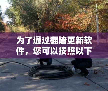 为了通过翻墙更新软件,您可以按照以下步骤操作 为了通过翻墙更新软件,您可以按照以下步骤操作