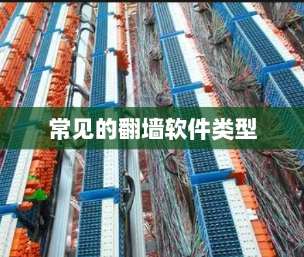 常见的翻墙软件类型