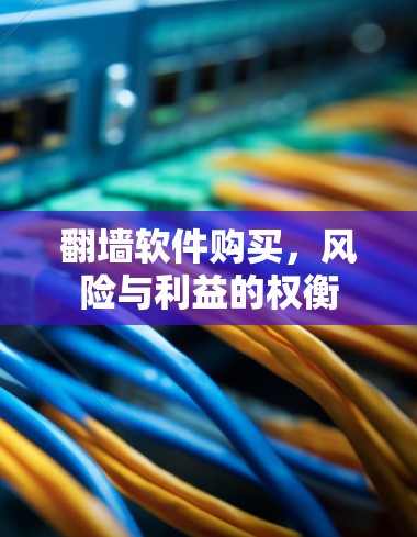 翻墙软件购买,风险与利益的权衡