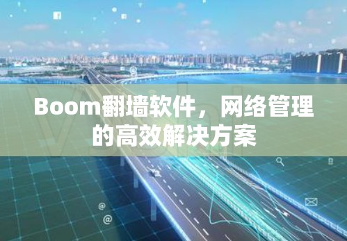 Boom翻墙软件,网络管理的高效解决方案