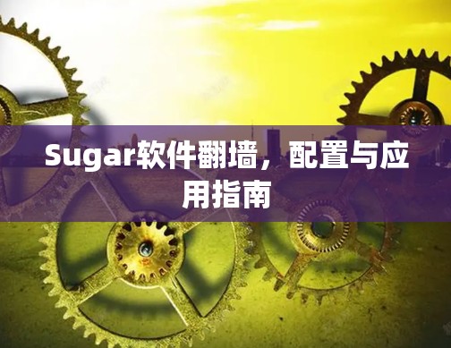 Sugar软件翻墙,配置与应用指南
