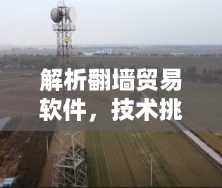 解析翻墙贸易软件,技术挑战与解决方案