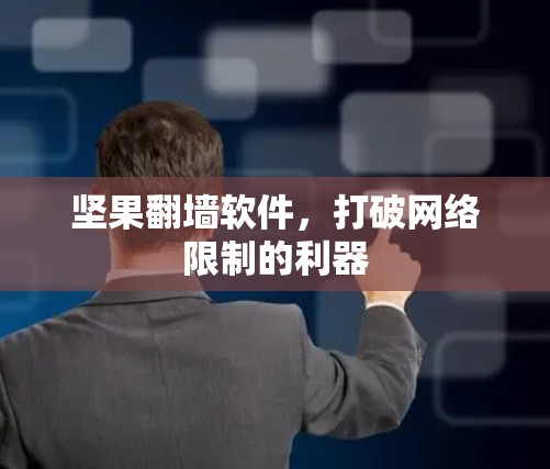 坚果翻墙软件,打破网络限制的利器
