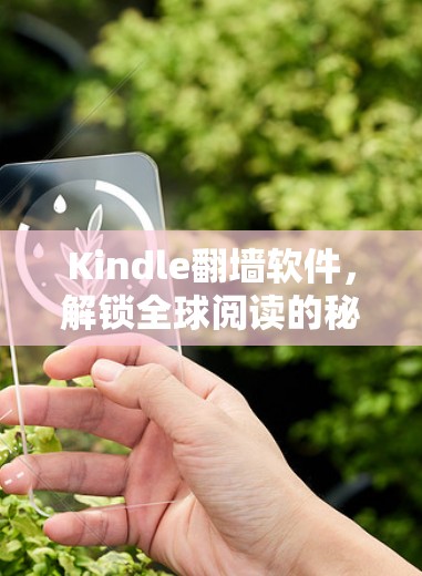 Kindle翻墙软件,解锁全球阅读的秘密