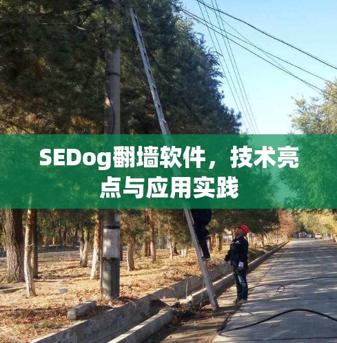 SEDog翻墙软件,技术亮点与应用实践