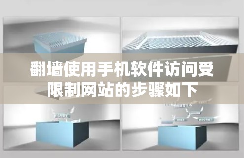 翻墙使用手机软件访问受限制网站的步骤如下