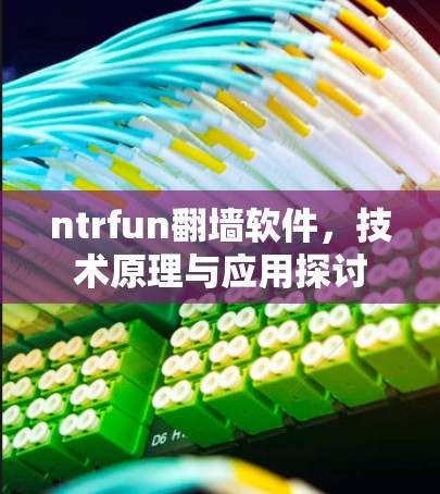ntrfun翻墙软件,技术原理与应用探讨