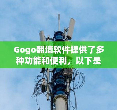 Gogo翻墙软件提供了多种功能和便利,以下是对其功能的详细分析