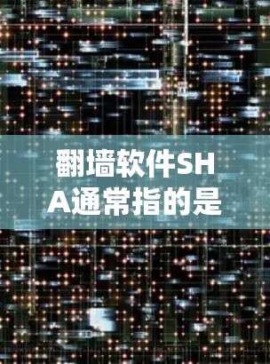 翻墙软件SHA通常指的是一种用于绕过网络访问限制的工具,允许用户访问被阻止的网站或服务。这些软件通常通过伪装成来自合法来源或使用VPN等技术来实现其功能