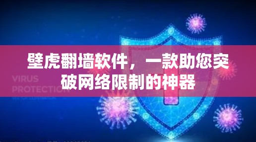 壁虎翻墙软件,一款助您突破网络限制的神器