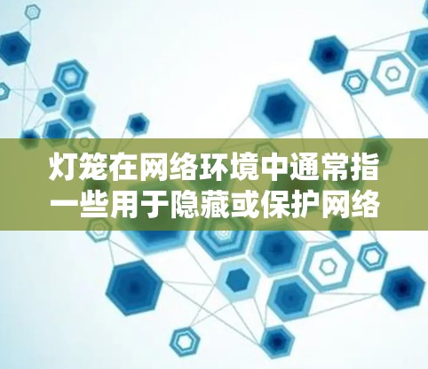 灯笼在网络环境中通常指一些用于隐藏或保护网络活动的工具，例如