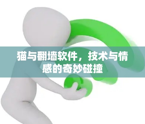猫与翻墙软件，技术与情感的奇妙碰撞