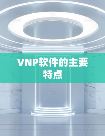 VNP软件的主要特点