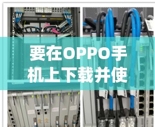 要在OPPO手机上下载并使用翻墙软件OPPOvpn，请按照以下步骤操作