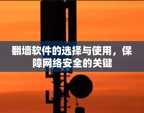 翻墙软件的选择与使用,保障网络安全的关键