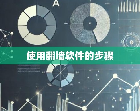 使用翻墙软件的步骤