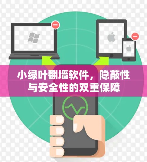 小绿叶翻墙软件，隐蔽性与安全性的双重保障