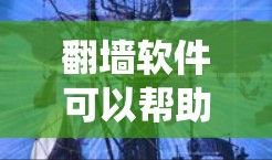 翻墙软件可以帮助你绕过网络限制,访问被屏蔽的内容。然而,在QQ空间这样的社交平台上使用翻墙软件可能会导致一些问题,例如账号被封禁或网络安全风险。以下是一些需要注意的事项和可能的方法