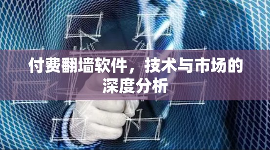 付费翻墙软件，技术与市场的深度分析