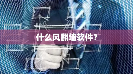 什么风翻墙软件？
