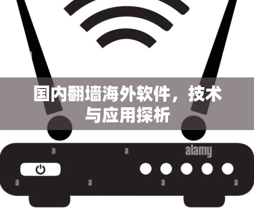 国内翻墙海外软件，技术与应用探析