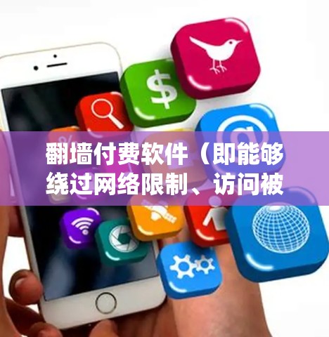 翻墙付费软件（即能够绕过网络限制、访问被屏蔽网站或内容的工具）的市场中，各品牌和产品有着不同的特点、价格和服务。以下是一些知名的付费翻墙软件及其特点和排名（根据用户反馈和市场口碑）