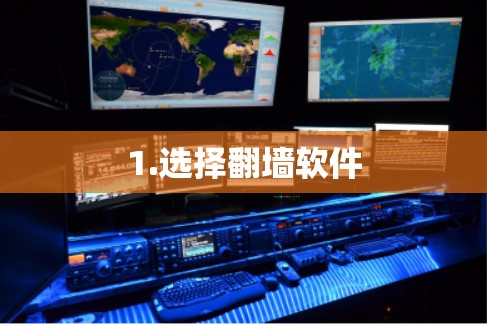 1.选择翻墙软件