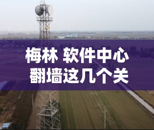梅林 软件中心 翻墙这几个关键词结合在一起，可能涉及到一些网络技术相关的内容。以下是一些可能的解释和分析