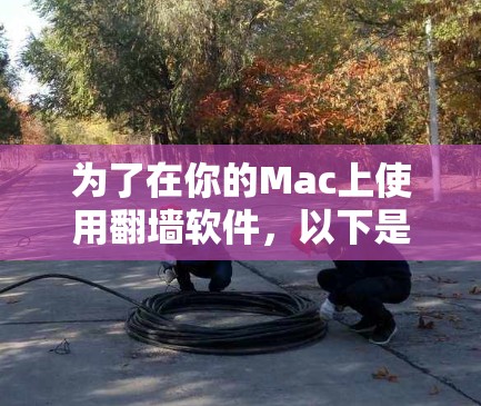 为了在你的Mac上使用翻墙软件，以下是一些有条理的步骤和建议，帮助你轻松配置并安全使用翻墙工具
