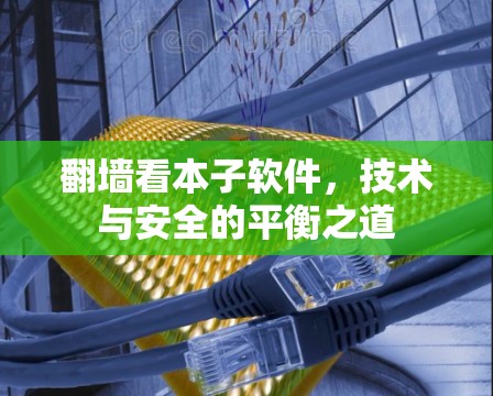 翻墙看本子软件，技术与安全的平衡之道