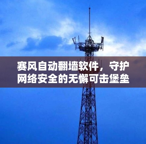 赛风自动翻墙软件，守护网络安全的无懈可击堡垒