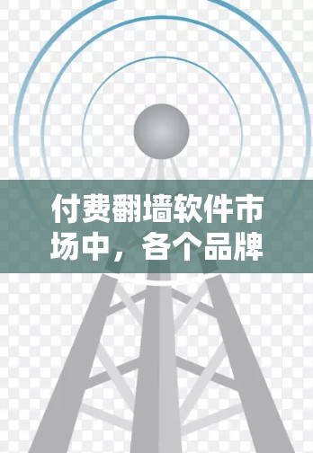 付费翻墙软件市场中，各个品牌和工具根据用户反馈、功能强度、隐私保护以及价格等多个因素，会有不同的排行。以下是一些常见的付费翻墙软件及其大致排名（根据一些用户调查和市场反馈整理而来）