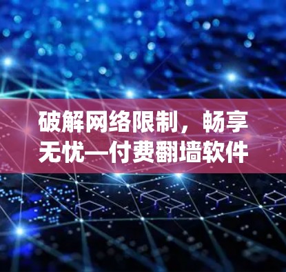 破解网络限制,畅享无忧—付费翻墙软件VNPay解析