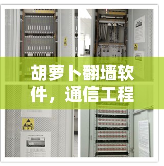 胡萝卜翻墙软件，通信工程师的秘密武器