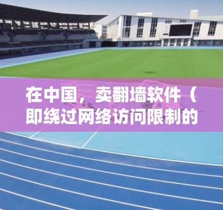 在中国,卖翻墙软件(即绕过网络访问限制的软件)可能会面临法律后果,包括刑事责任。以下是一些相关的法律背景和可能的后果