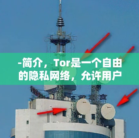 -简介,Tor是一个自由的隐私网络,允许用户匿名访问互联网。它不仅可以帮助你访问被屏蔽的网站,还能保护你的隐私