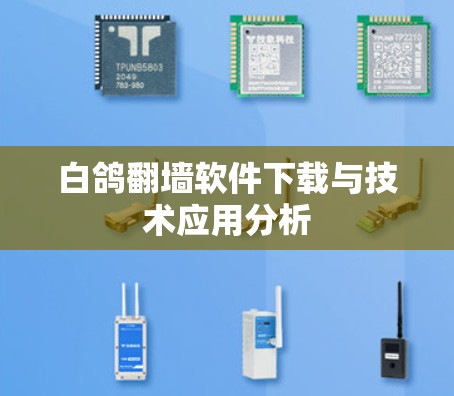 白鸽翻墙软件下载与技术应用分析