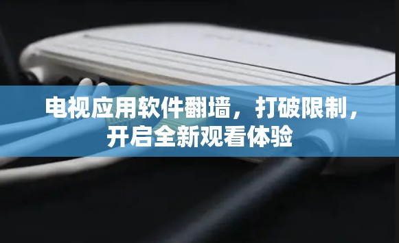 电视应用软件翻墙，打破限制，开启全新观看体验