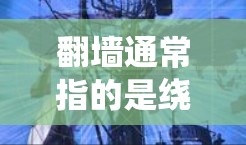 翻墙通常指的是绕过国家或机构设定的网络限制，以访问被屏蔽的网站或内容。在中国，访问某些国际网站（如Facebook）可能受到网络审查，用户可能需要使用翻墙软件或方法来绕过这些限制